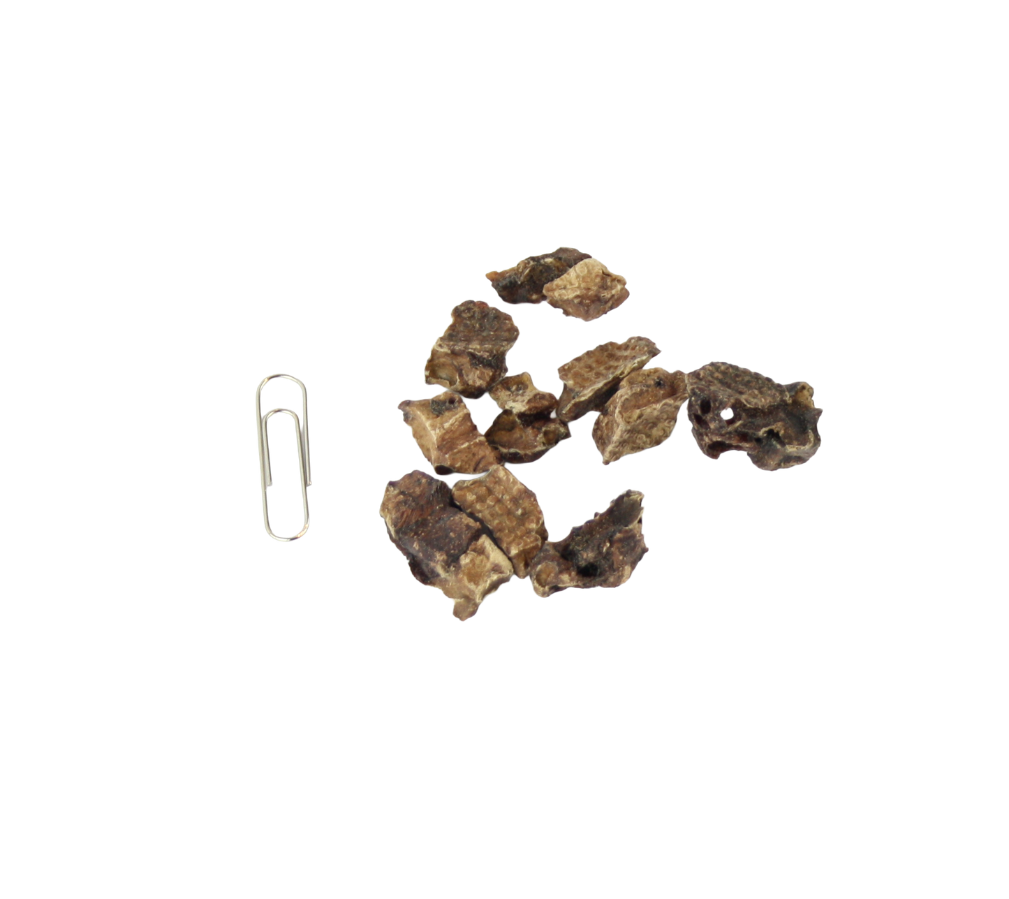 Lamslong trainer 100g