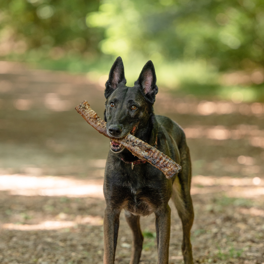 Kluiven zijn goed voor je hond