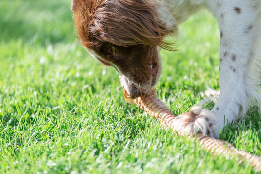 Kluiven-jpg-hr-23-1920x1282