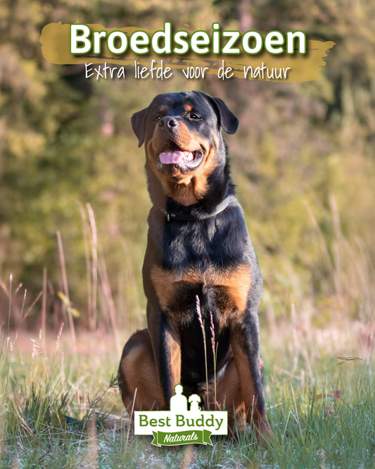 Broedseizoen, extra liefde voor de natuur