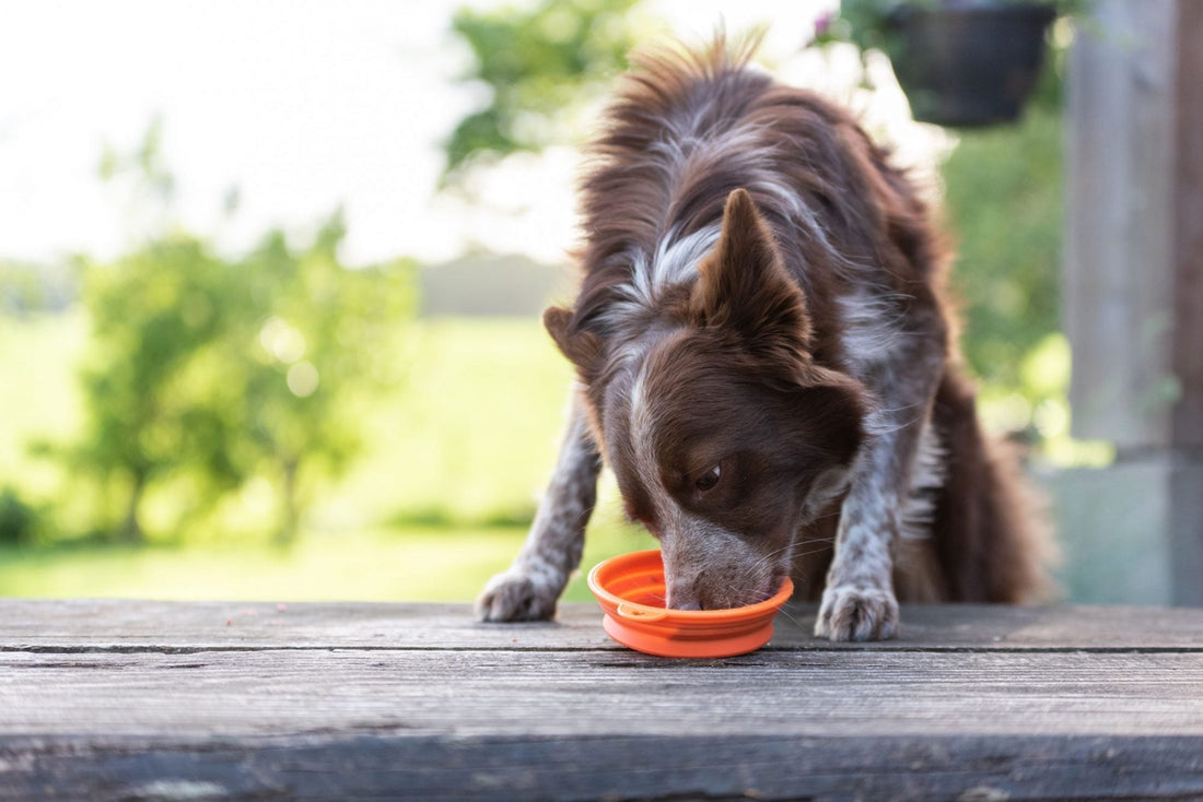 verkleint-Deel-3-jpg-hr-14-1920x1282