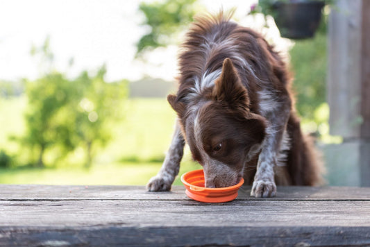 verkleint-Deel-3-jpg-hr-14-1920x1282