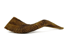 Lamshoorn